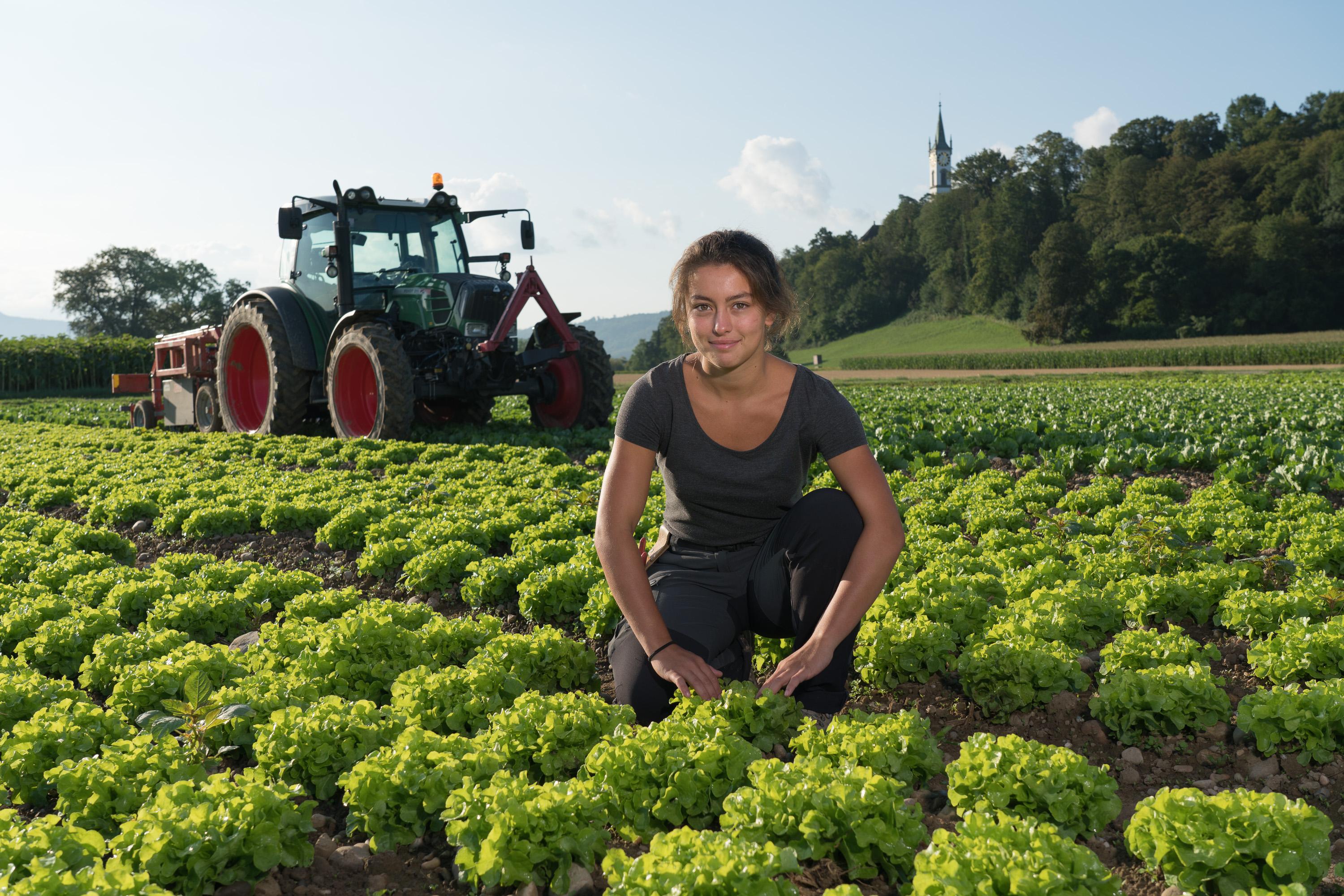thumb Landwirt auf Acker