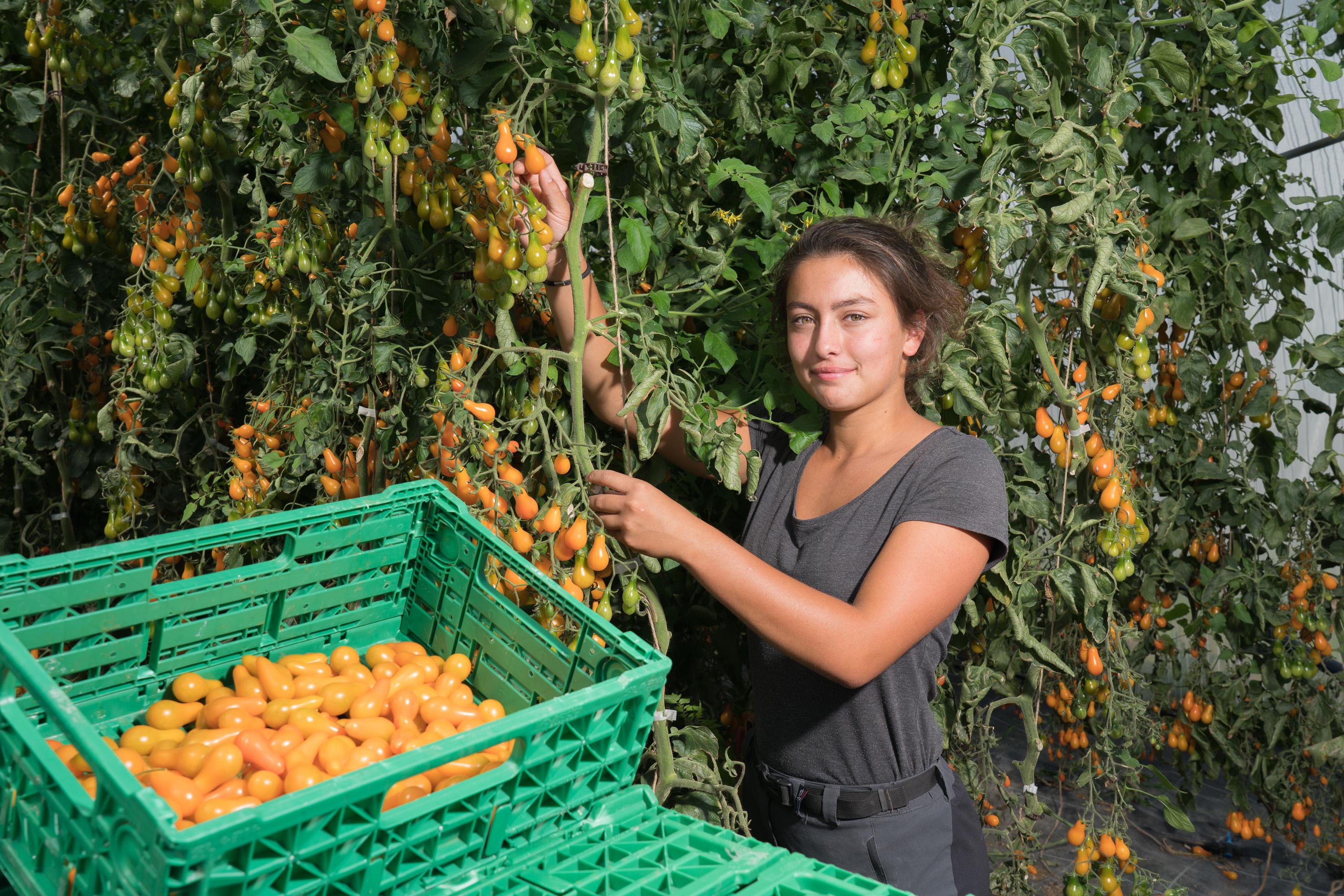 thumb Landwirtin auf Acker